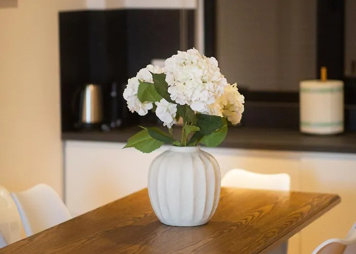 Moho Residences Downtown Korca-republika Boulevard * 科尔察